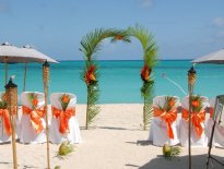  Wedding planner